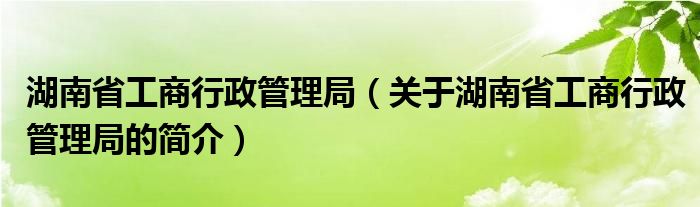 湖南省工商行政管理局（关于湖南省工商行政管理局的简介）