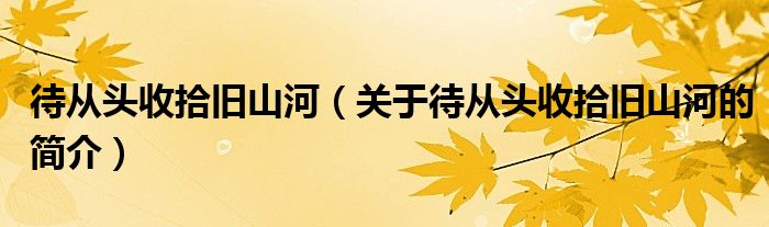 待从头收拾旧山河（关于待从头收拾旧山河的简介）