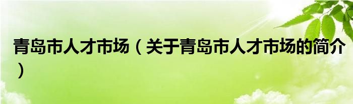 青岛市人才市场（关于青岛市人才市场的简介）