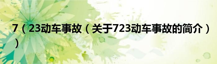 7（23动车事故（关于723动车事故的简介））