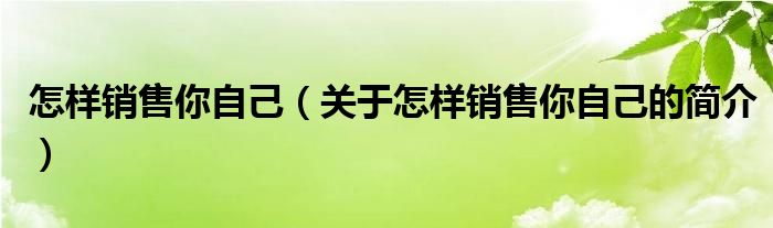 怎样销售你自己（关于怎样销售你自己的简介）