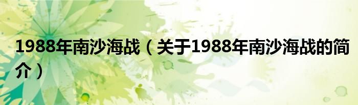 1988年南沙海战（关于1988年南沙海战的简介）