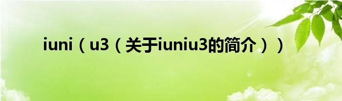 iuni（u3（关于iuniu3的简介））