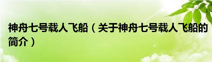 神舟七号载人飞船（关于神舟七号载人飞船的简介）