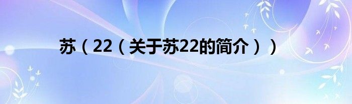 苏（22（关于苏22的简介））