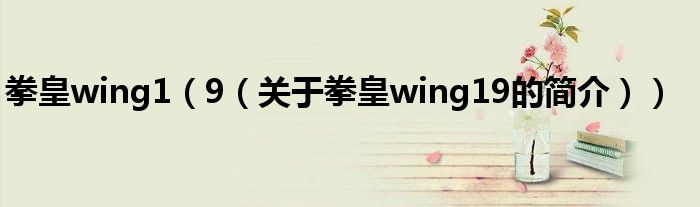 拳皇wing1（9（关于拳皇wing19的简介））