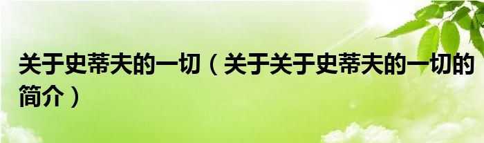 关于史蒂夫的一切（关于关于史蒂夫的一切的简介）