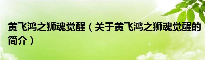 黄飞鸿之狮魂觉醒（关于黄飞鸿之狮魂觉醒的简介）