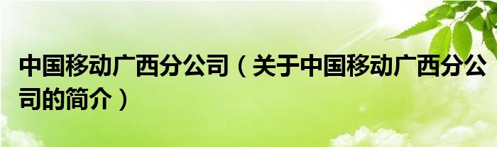 中国移动广西分公司（关于中国移动广西分公司的简介）