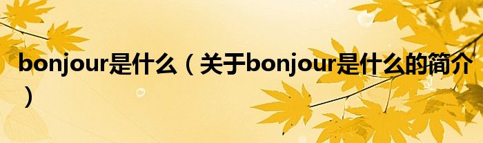 bonjour是什么（关于bonjour是什么的简介）