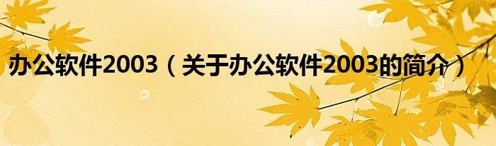 办公软件2003（关于办公软件2003的简介）