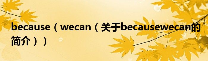 because（wecan（关于becausewecan的简介））