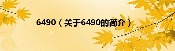 6490（关于6490的简介）