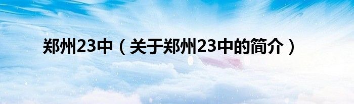 郑州23中（关于郑州23中的简介）