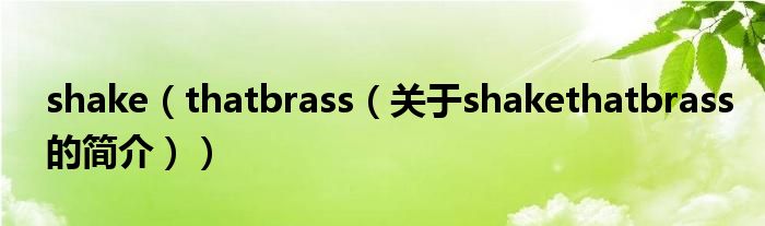 shake（thatbrass（关于shakethatbrass的简介））