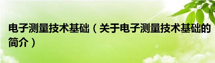 电子测量技术基础（关于电子测量技术基础的简介）