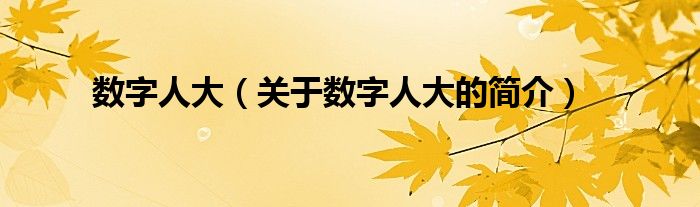 数字人大（关于数字人大的简介）