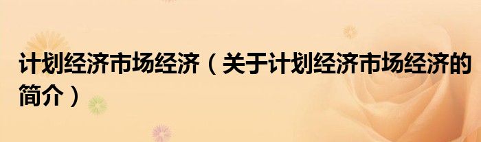 计划经济市场经济（关于计划经济市场经济的简介）