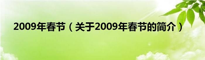 2009年春节（关于2009年春节的简介）