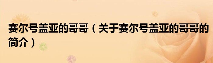 赛尔号盖亚的哥哥（关于赛尔号盖亚的哥哥的简介）