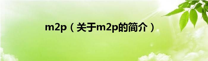 m2p（关于m2p的简介）