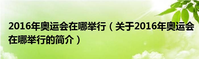 2016年奥运会在哪举行（关于2016年奥运会在哪举行的简介）