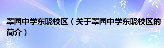 翠园中学东晓校区（关于翠园中学东晓校区的简介）