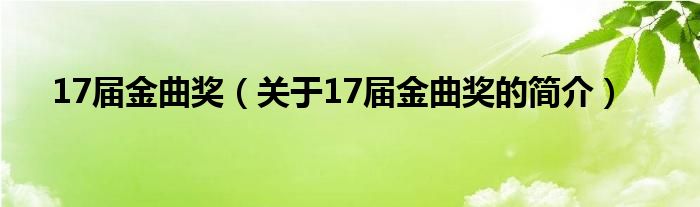 17届金曲奖（关于17届金曲奖的简介）