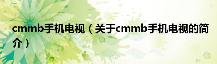 cmmb手机电视（关于cmmb手机电视的简介）