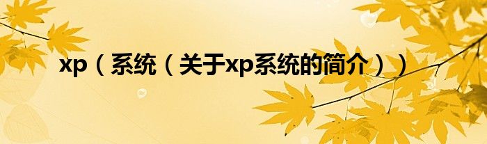 xp（系统（关于xp系统的简介））