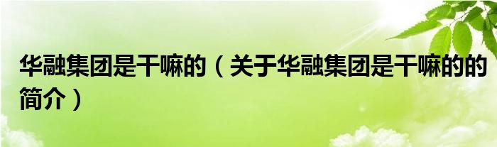 华融集团是干嘛的（关于华融集团是干嘛的的简介）