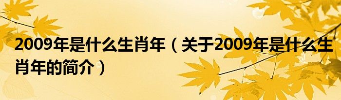 2009年是什么生肖年（关于2009年是什么生肖年的简介）