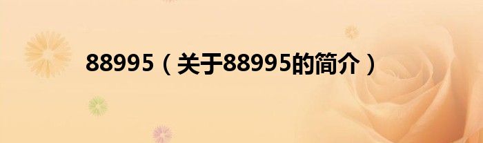 88995（关于88995的简介）