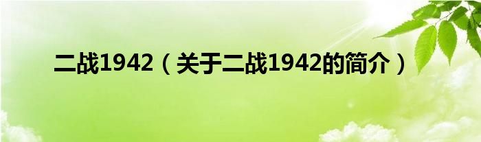 二战1942（关于二战1942的简介）