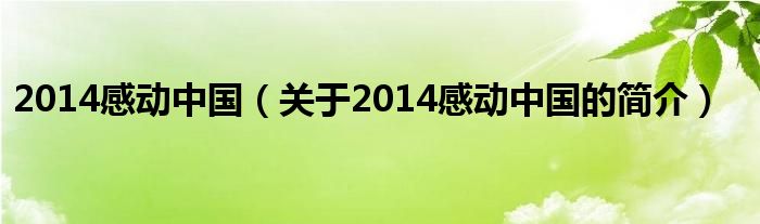 2014感动中国（关于2014感动中国的简介）