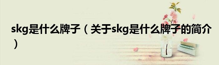 skg是什么牌子（关于skg是什么牌子的简介）