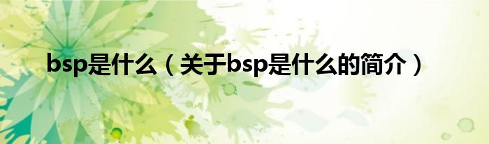 bsp是什么（关于bsp是什么的简介）