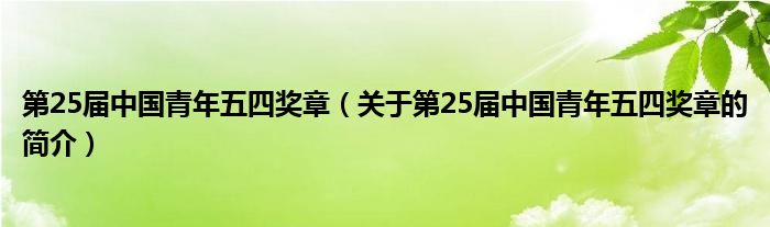 第25届中国青年五四奖章（关于第25届中国青年五四奖章的简介）