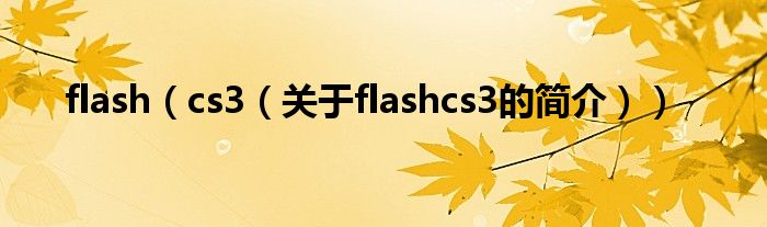 flash（cs3（关于flashcs3的简介））