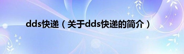 dds快递（关于dds快递的简介）