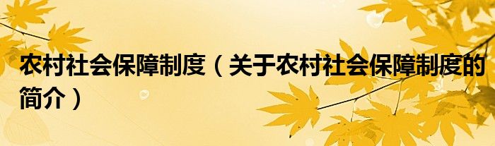 农村社会保障制度（关于农村社会保障制度的简介）