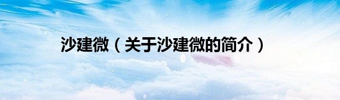 沙建微（关于沙建微的简介）