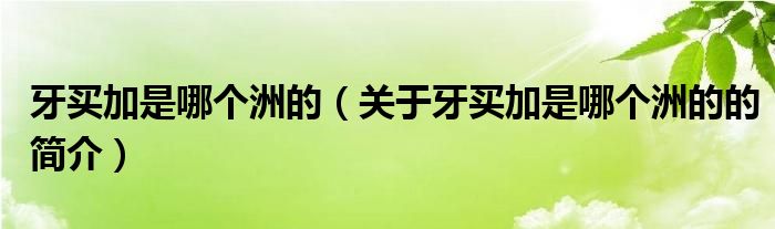 牙买加是哪个洲的（关于牙买加是哪个洲的的简介）