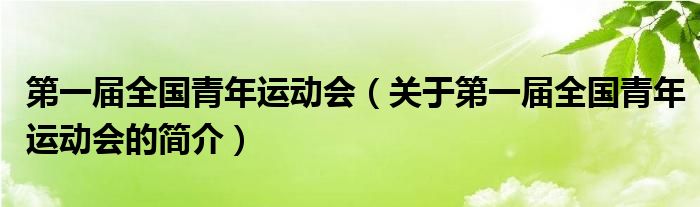 第一届全国青年运动会（关于第一届全国青年运动会的简介）