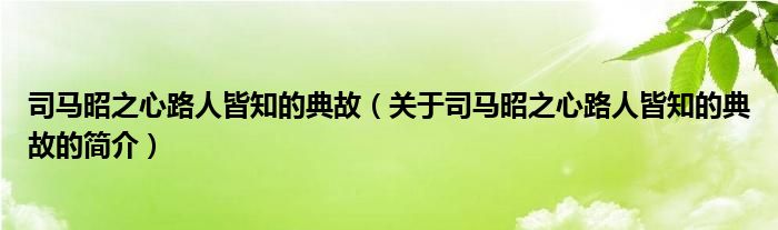 司马昭之心路人皆知的典故（关于司马昭之心路人皆知的典故的简介）