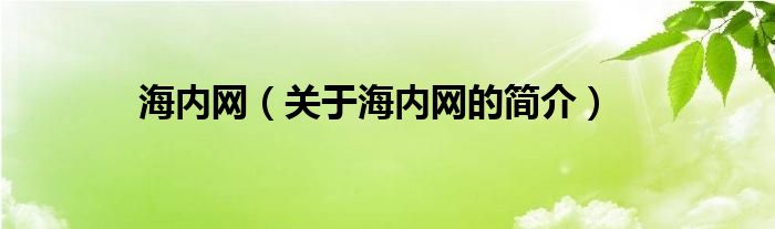 海内网（关于海内网的简介）