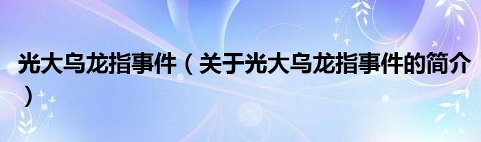 光大乌龙指事件（关于光大乌龙指事件的简介）