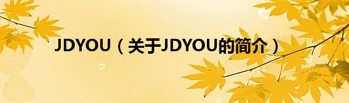 JDYOU（关于JDYOU的简介）