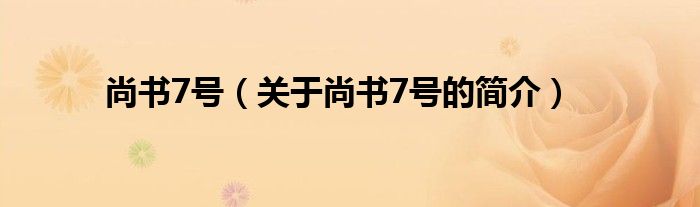 尚书7号（关于尚书7号的简介）