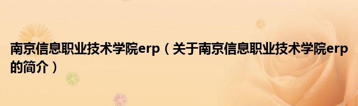 南京信息职业技术学院erp（关于南京信息职业技术学院erp的简介）